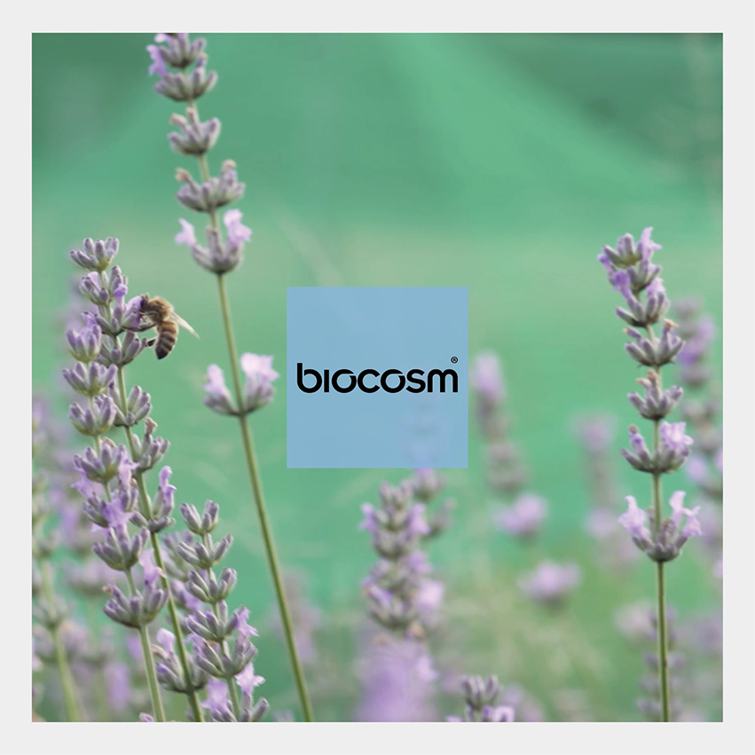 I prodotti Biocosm sono allineati a questa tendenza poichè rispettano al massimo la natura grazie alle loro esclusive formulazioni.