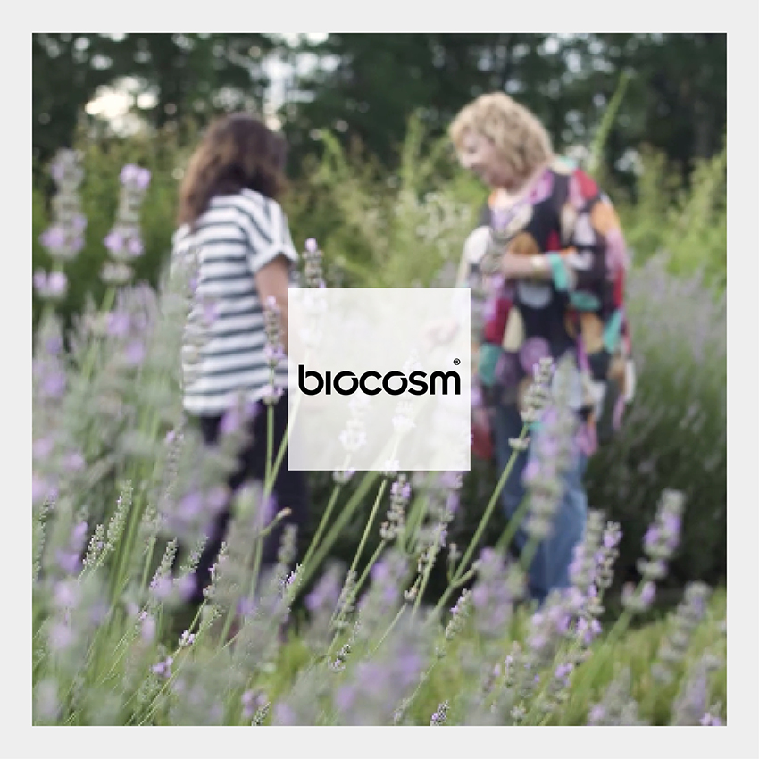 Biocosm è un brand di cosmesi, naturale e biologica, al 100%: il progetto nasce per lo sviluppo di prodotti di bellezza professionali