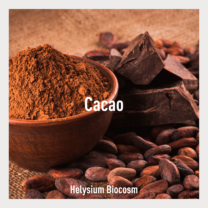 Conosci il cacao? Scopri i suoi benefici e come lo utilizziamo nella nostra linea Helysium. Biocosm Natural Elements.